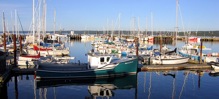Digby harbour