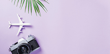Toy camera and plane on light purple background with partial palm leaf showing at the top of the image