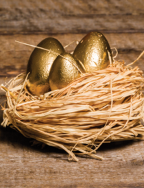 three gold eggs in a nest