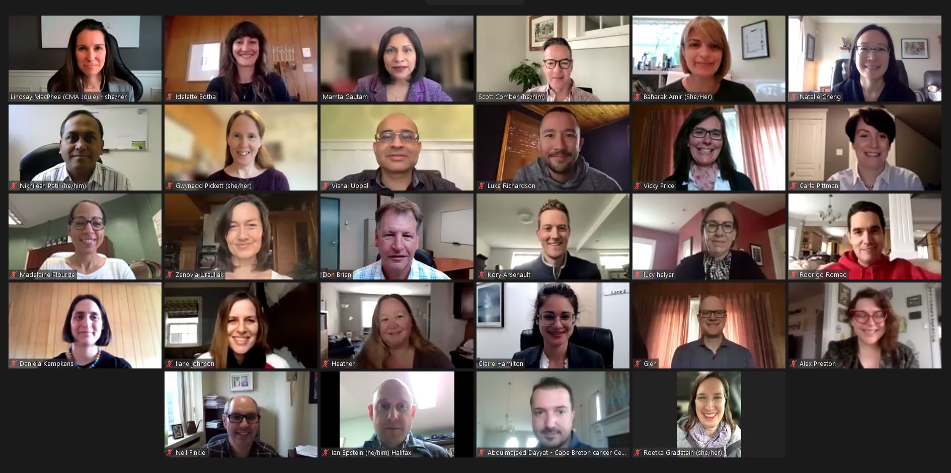 Screenshot of participants on a Zoom call